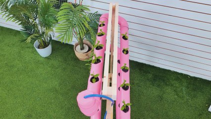 Simple Planting Tips for Beginners 🌱