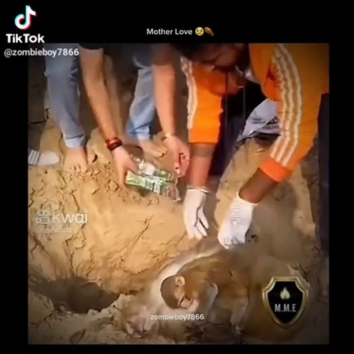 Mom is dead 