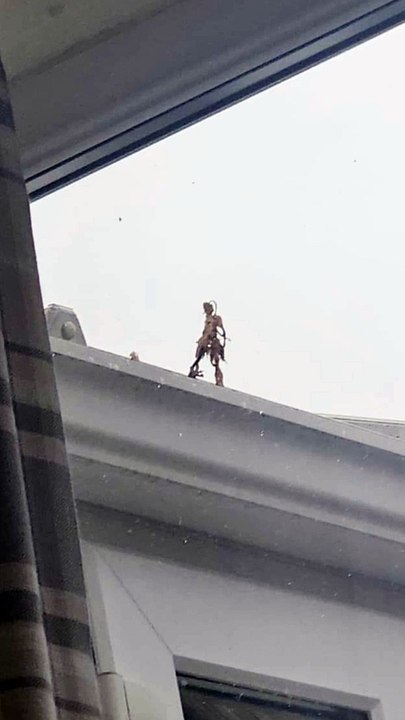 Seeing Faces in Everyday Objects - Part 77