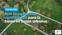 Mini bosques, una oportunidad para la fauna en zonas urbanas