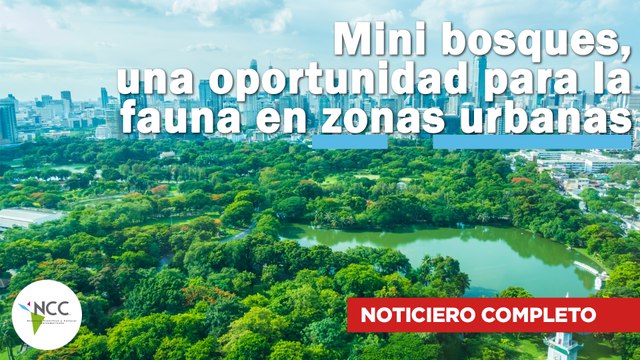 Mini bosques, una oportunidad para la fauna en zonas urbanas | 675 | 22 al 28 de julio de 2024