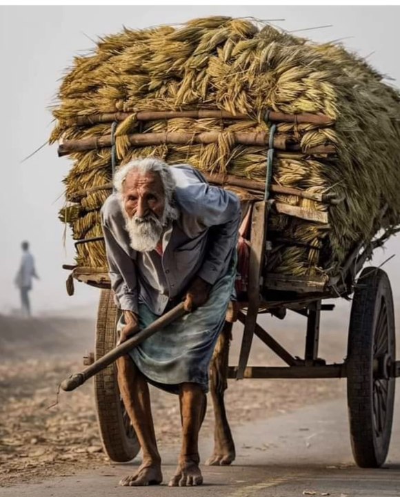ہوتا ہے ہر طرح سے ہر بات کا تقدس