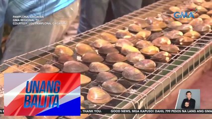 Clam shell o caggu, tampok sa Caggu Festival | Unang Balita