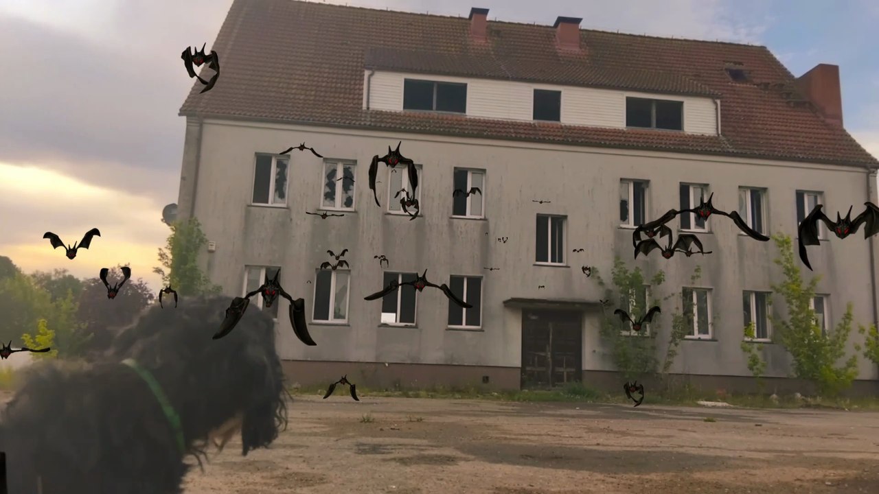 Opuszczony dom przy drodze 4