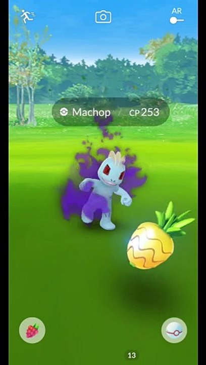 Pokémon GO-Shadow Machop