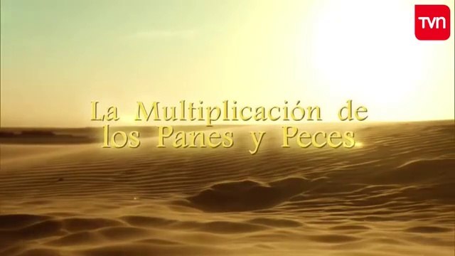 24. La multiplicación de los panes y los peces