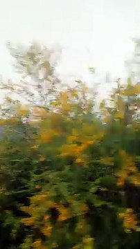 جمال بلادي المغرب مكناس فاس طنجة تطوان