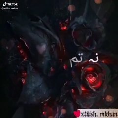 Na tum muhabbat na tum nafrat