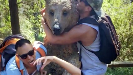 Microsoft Designer gerador de imagem por IA chega ao iOS e Android