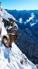 Beautiful mountains