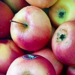 -ANDRÉS DE JESÚS VÉLEZ FRANCO- CÓMO ENTRENAR COMO UN ATLETA PROFESIONAL  (PARTE 1) (@AndresdeJesus90)