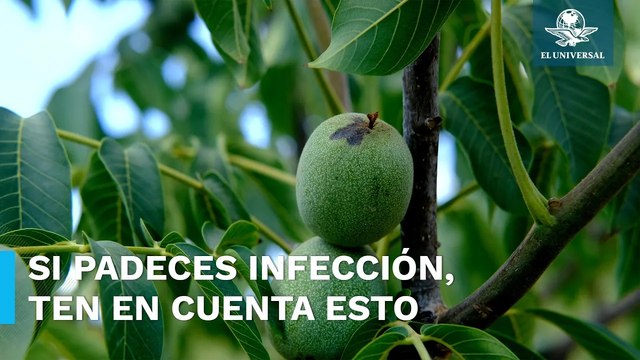 Esta hierba es una gran aliada contra las infecciones urinarias