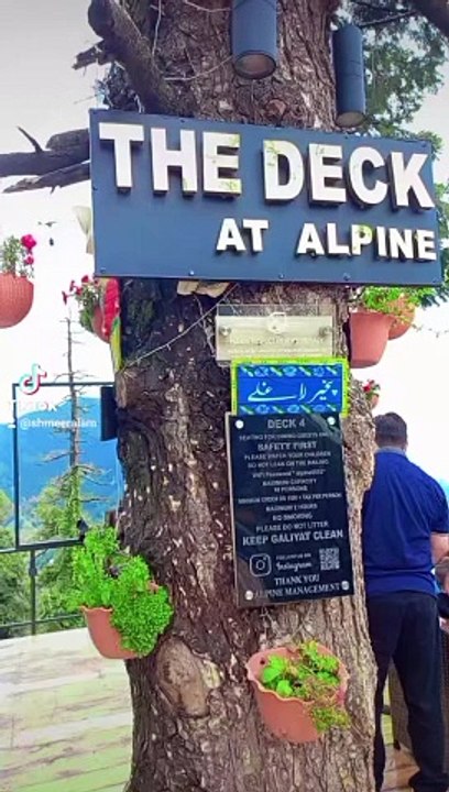 The Deck at Alpine