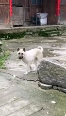 VID-20240712-WA0084