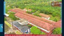 Perkuat Pertahanan Pangan Nasional TNI AL Laksanakan Panen Raya Budidaya Hasil Olahan Prajurit Di Lampung