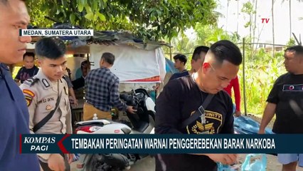 Polisi Gerebek Barak Narkoba di Tengah Kebun Jagung Medan, 3 Orang Ditangkap