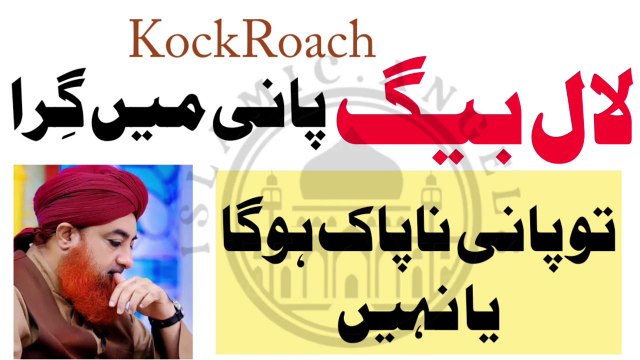 Cockroach pani me gira to pani napak ho ga ya nahi? Urdu/Hindi