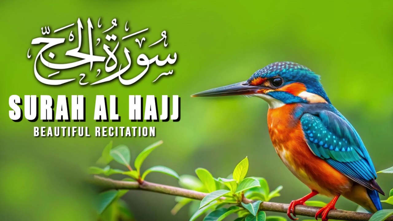 Surah Al-Hajj (الحج|) - Full Beautiful and Heart touching recitation | Calming Quran |