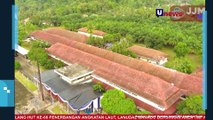 Perkuat Pertahanan Pangan Nasional TNI AL Laksanakan Panen Raya Budidaya Hasil Olahan Prajurit di Lampung