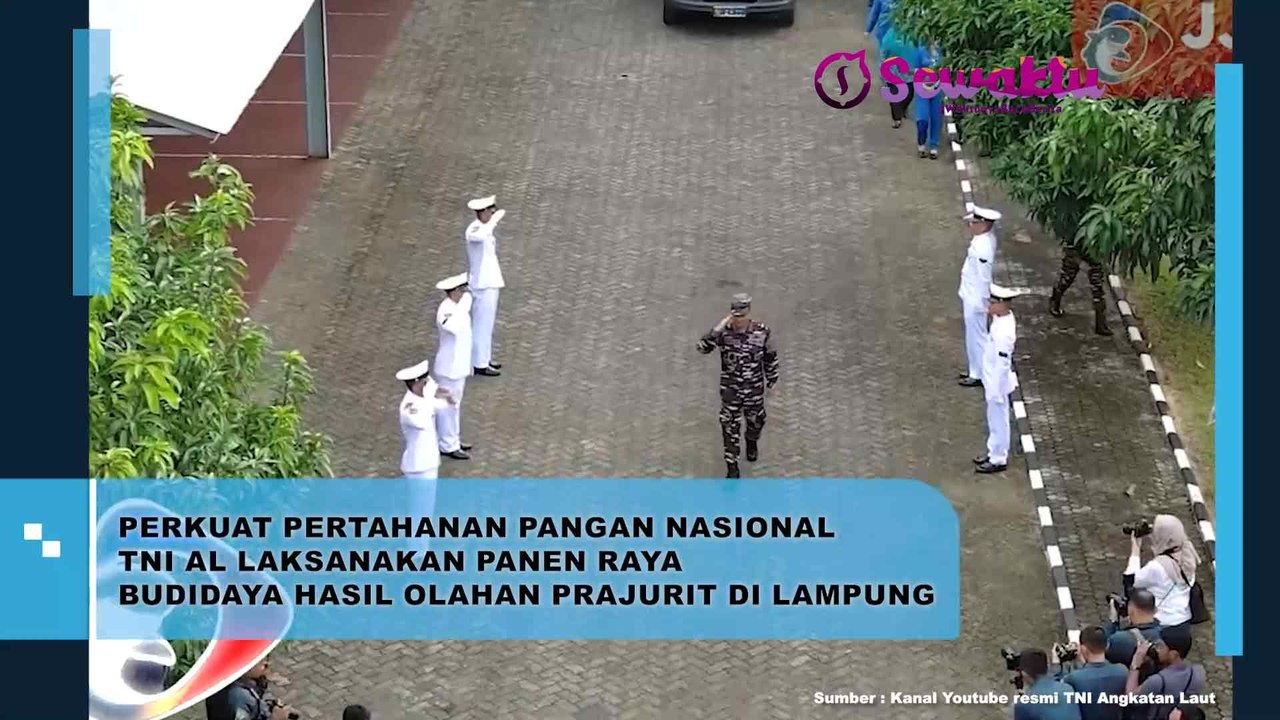 Panen Raya Bersama TNI AL Demi Perkuat Pertahanan Pangan Nasional
