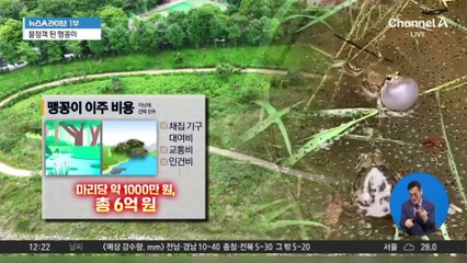 ‘불청객’ 맹꽁이에 개발 지연…“1마리 이주에 1000만 원”