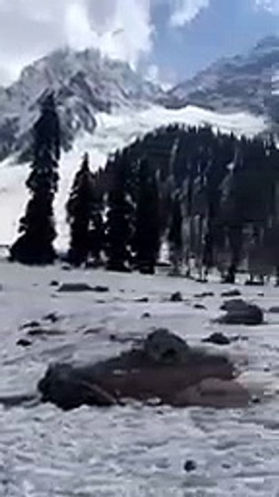 Sonnamarg # kashmir