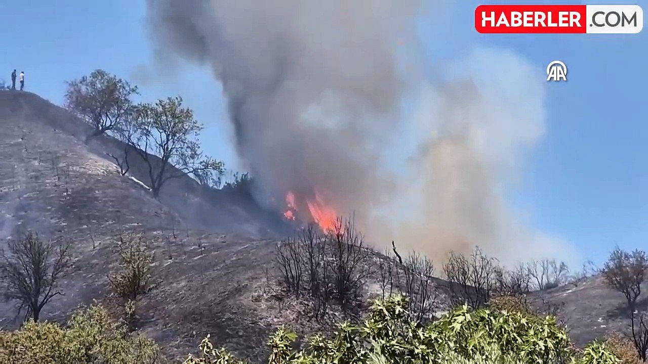 Manisa'da tarım arazisinden ormana sıçrayan yangına müdahale başlatıldı