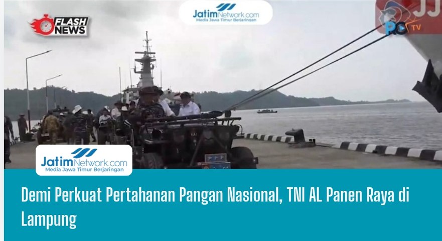 Demi Perkuat Pertahanan Pangan Nasional, TNI AL Panen Raya di Lampung