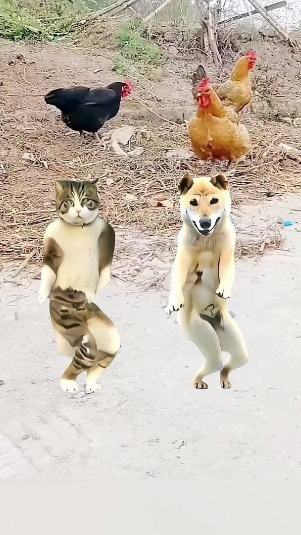 ⁣Pets funny dance for Pets lover