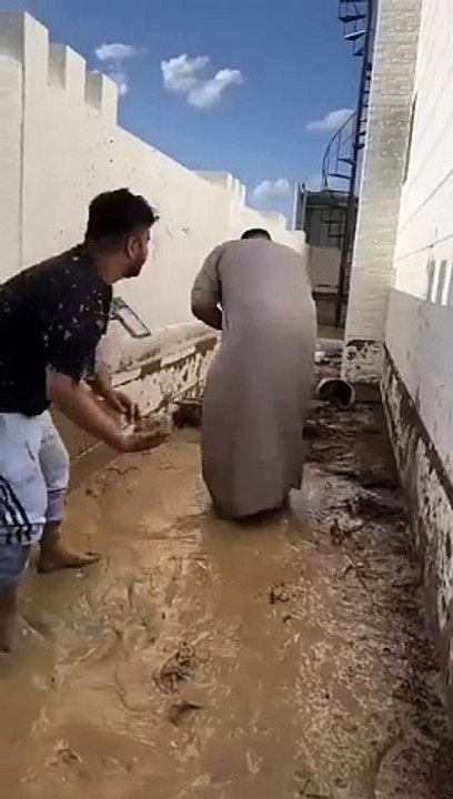 Funny video