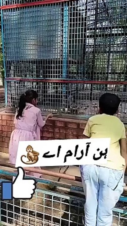 Funny video