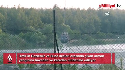 Ormanlık alanda çıkan yangına müdahale sürüyor