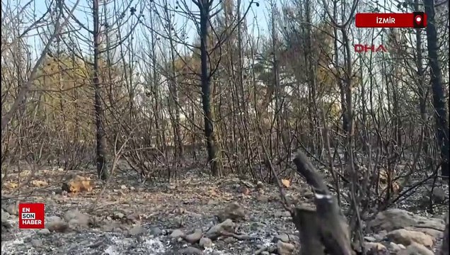 Buca'da orman yangını 2'inci gününde devam ediyor