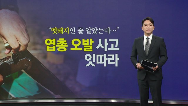 멧돼지인 줄 알았는데... 엽총 오발 사고 잇따라 [앵커리포트] / YTN