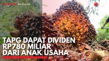 TAPG Dapat Dividen Rp780 Miliar dari Anak Usaha