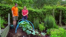 The Beechgrove Garden 2024 episode 16