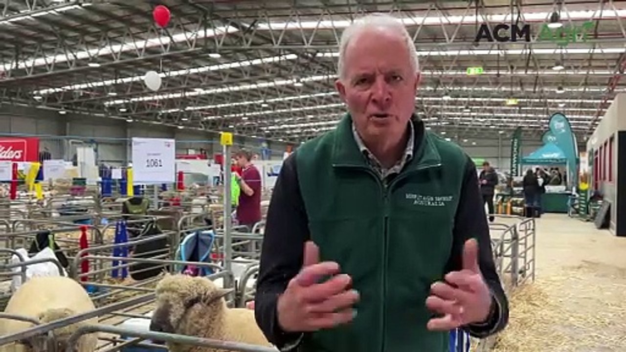 Colin Chapman, Heritage Sheep Australia | Stock & Land