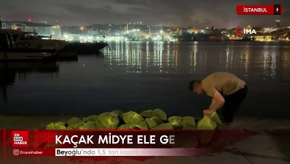 Beyoğlu'nda 1,5 ton kaçak midye ele geçirildi
