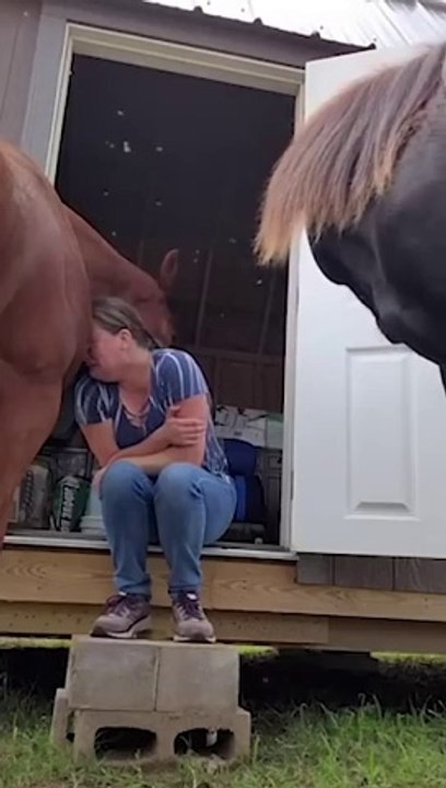Her horse comforts her (360P)
