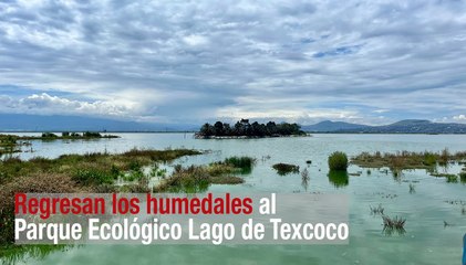 Regresan los humedales al Parque Ecológico Lago de Texcoco