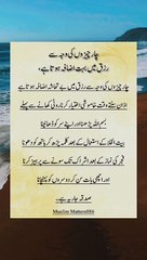 #music #arabic #cover #song #love #religion #islamkibaten #queets #coversong #urdu