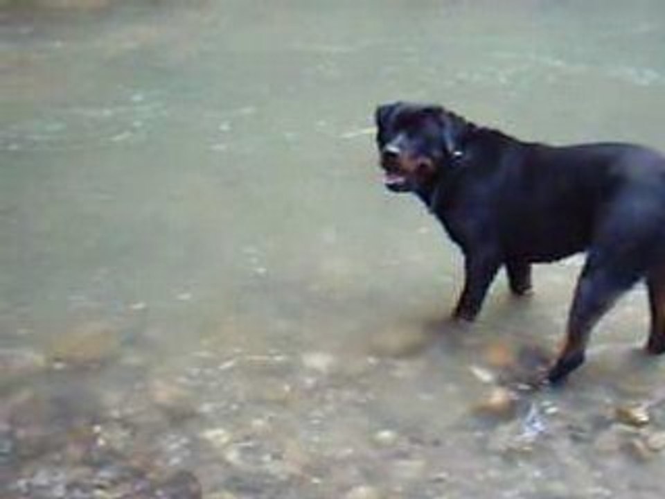 byron dans l'eau