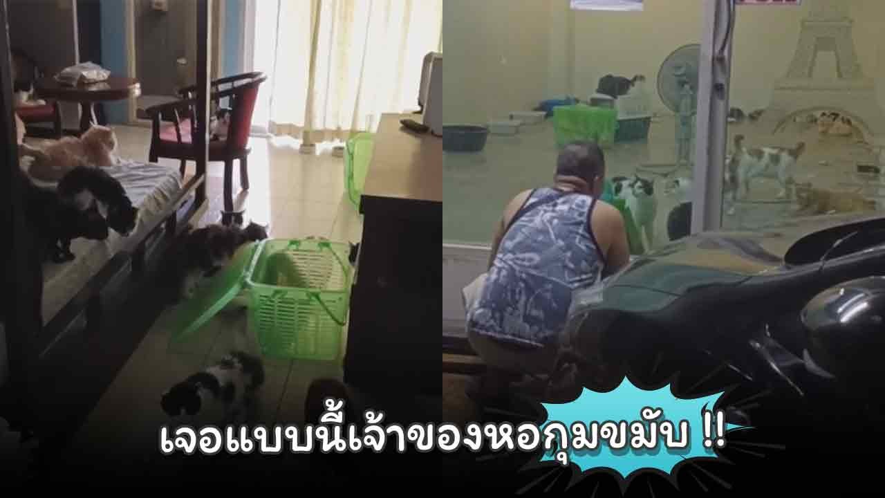 จาก 1 ตัว กลายเป็น 29 ตัว เจอแบบนี้เจ้าของหอกุม...