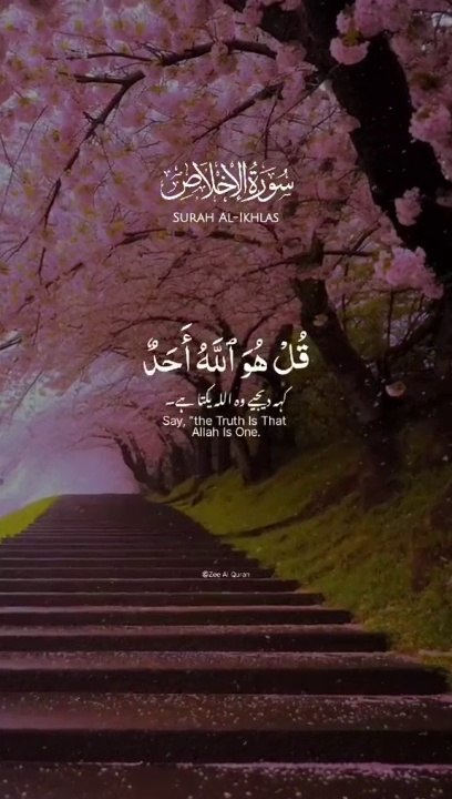 Surah e ikhlas#translation#alquran#islamic video#islam