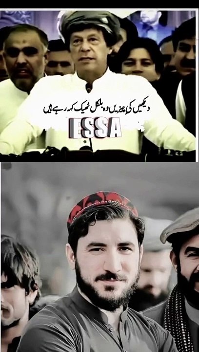 Support Imran Khan