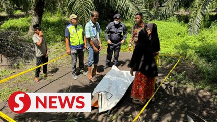 Body of missing father found four days after crocodile attack incident