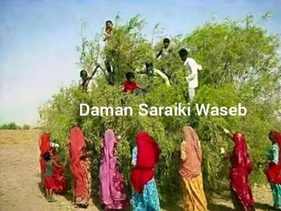 Evergreen Radio Song - Peeloon Pakiyan Wy Pakiyan Ni - Super Hit Song Old Saraiki Song