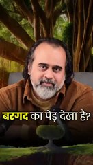 बरगद का पेड़ देखा है? || आचार्य प्रशांत