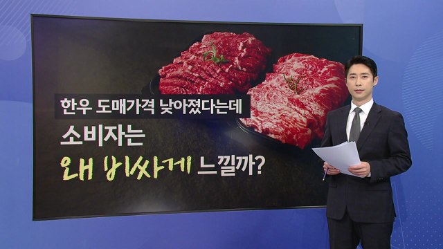 도매가 떨어져도 비싼 '한우'...반값 할인 [앵커리포트] / YTN