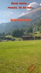 Tmharay Husn Ke Naam تمہارے حسن کے نام #sabaqamar #imranabbas #lovestatus#shortsvideo #trending